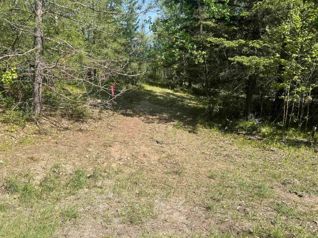 Picture 9