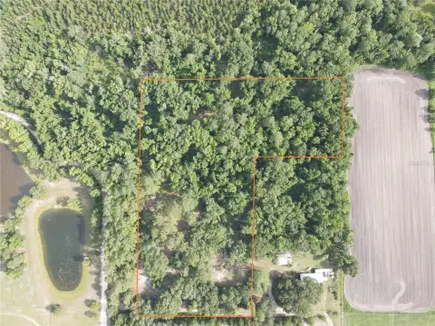 Secluded Buildable Lot with Acreage