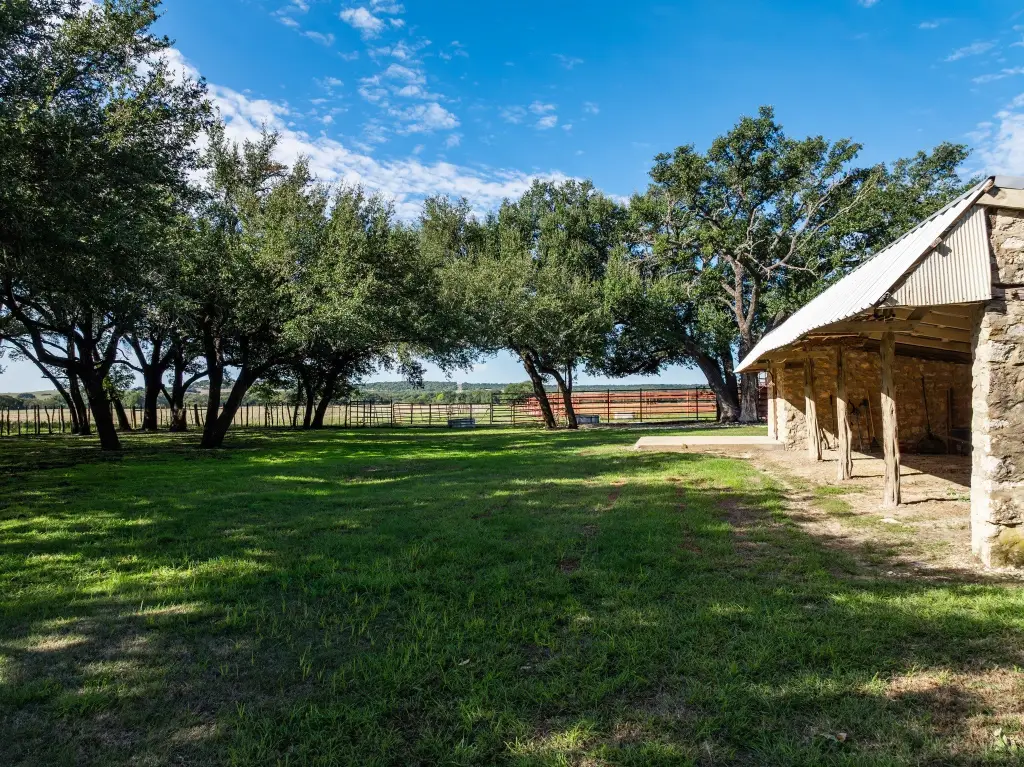 Picture 35