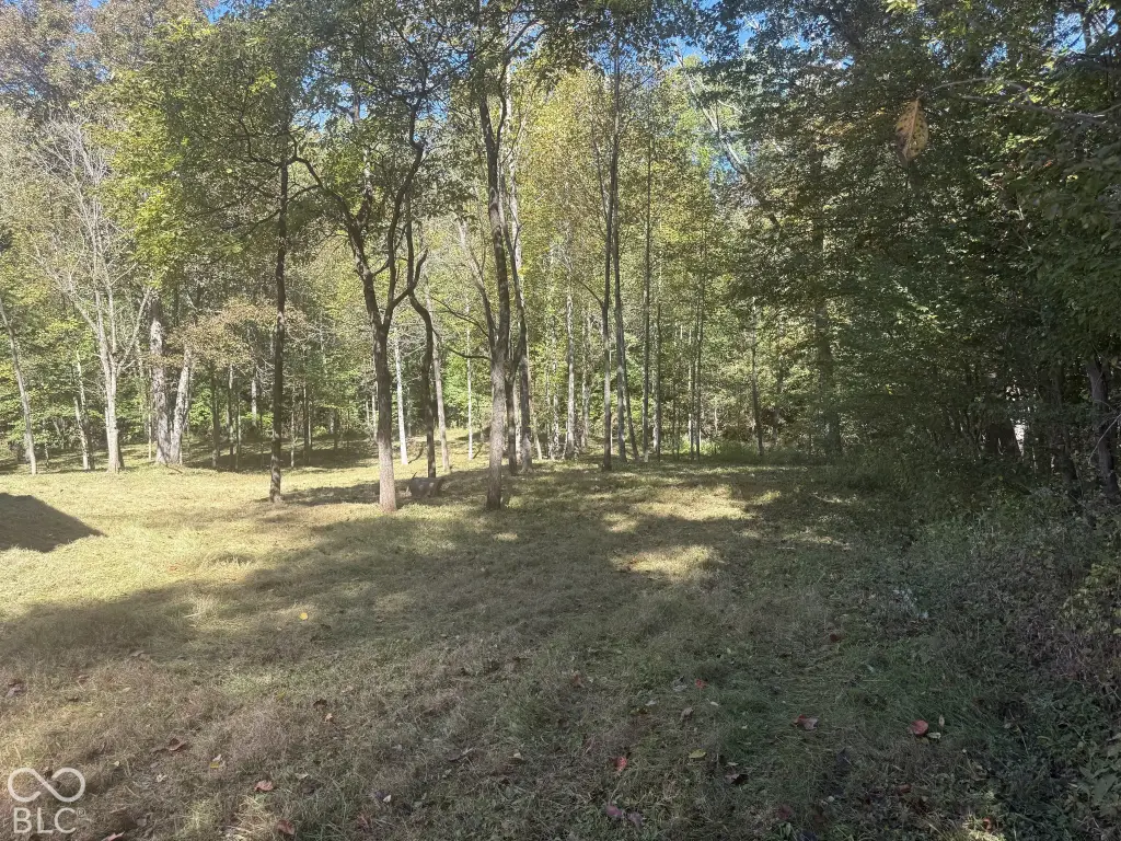 Picture 6