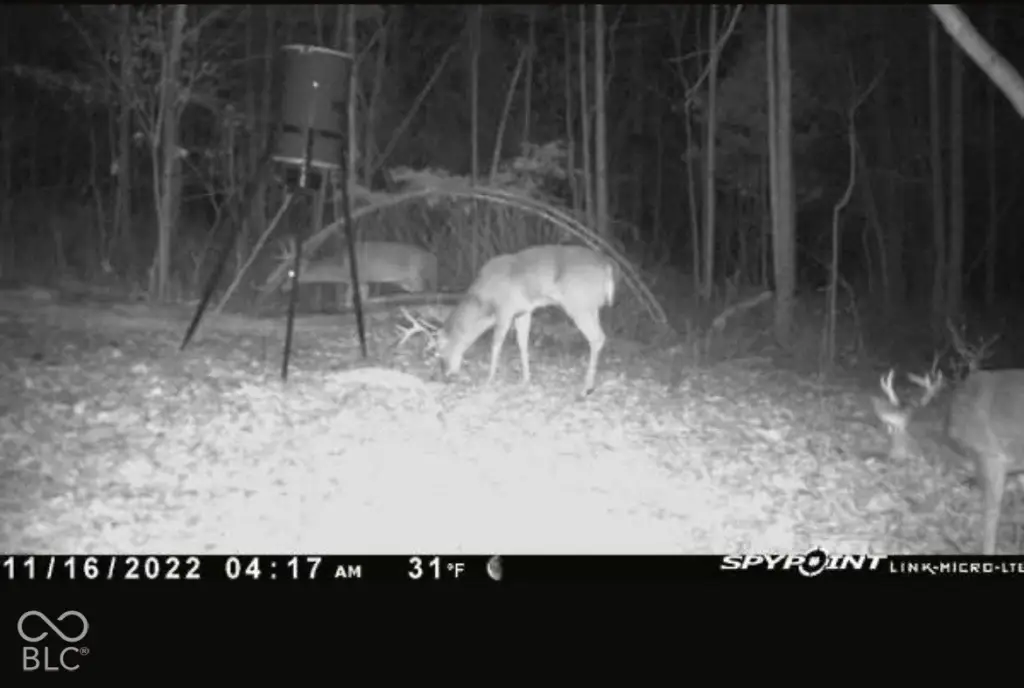 Picture 17