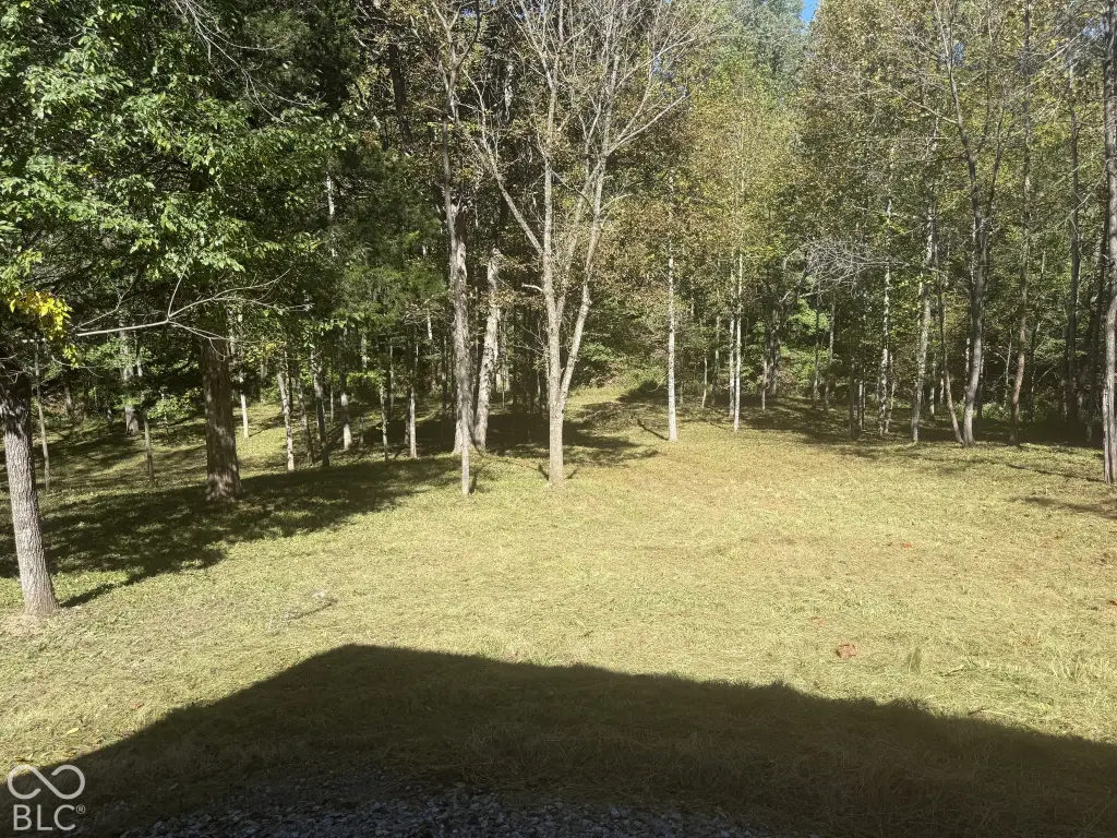 Picture 5