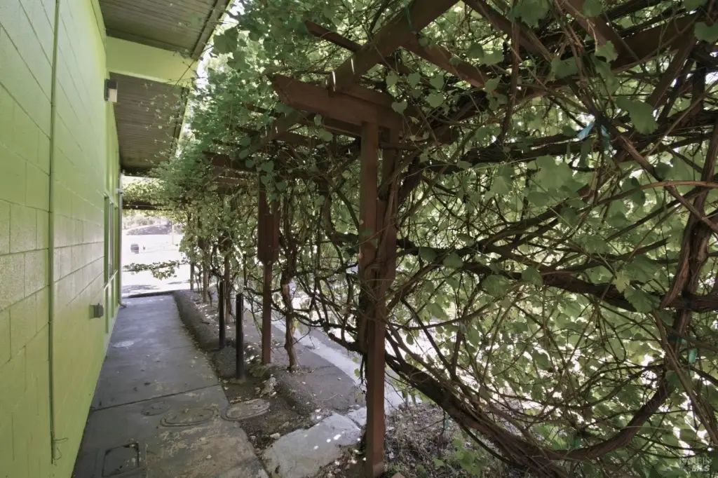 Picture 47