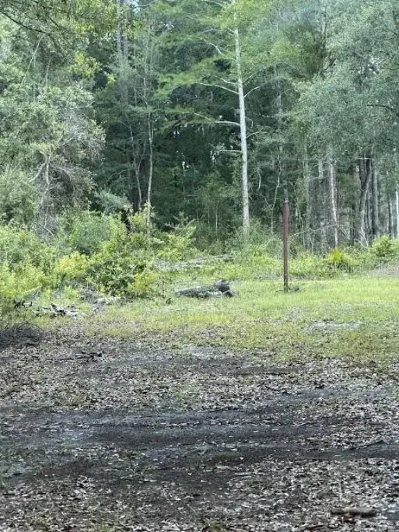 Picture 6