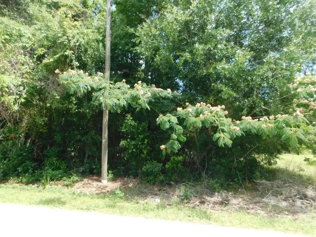Picture 2