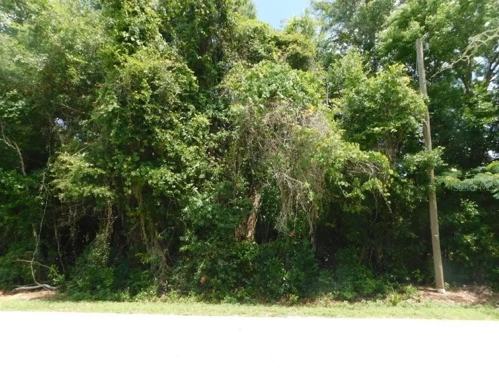 Picture 3