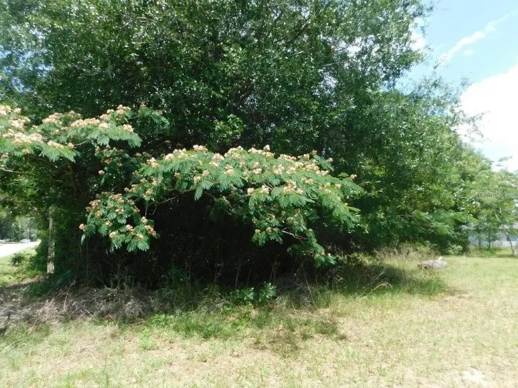 Picture 6