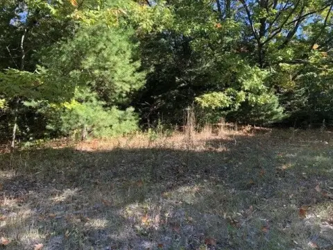 Double Lot in Mackinaw City