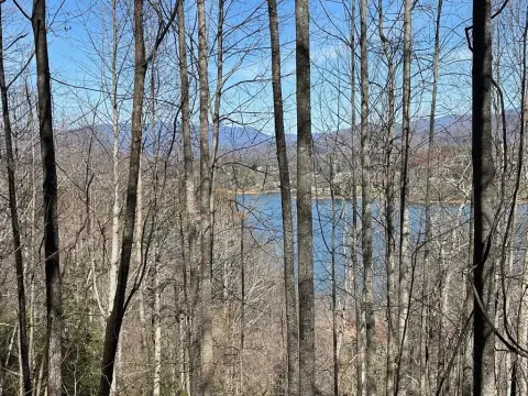 Hiawassee Vacant Lot with Views