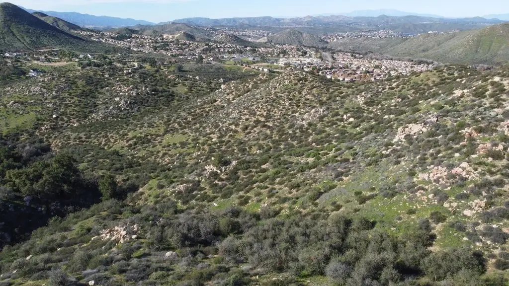 Picture 16