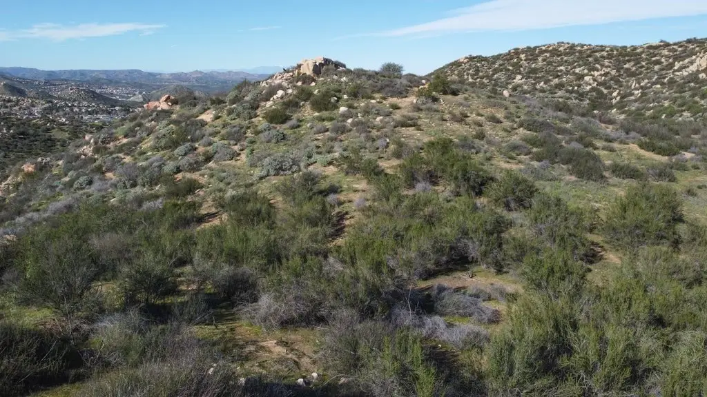 Picture 11