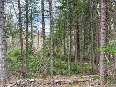 Brighton, VT 13.5-Acre Lot