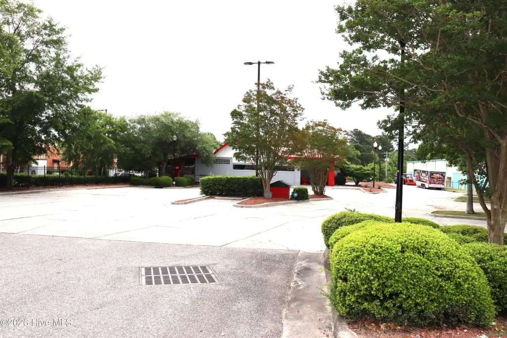 Picture 6