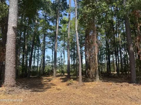 Residential Lot in Tabor City