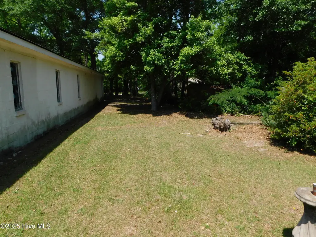 Picture 51