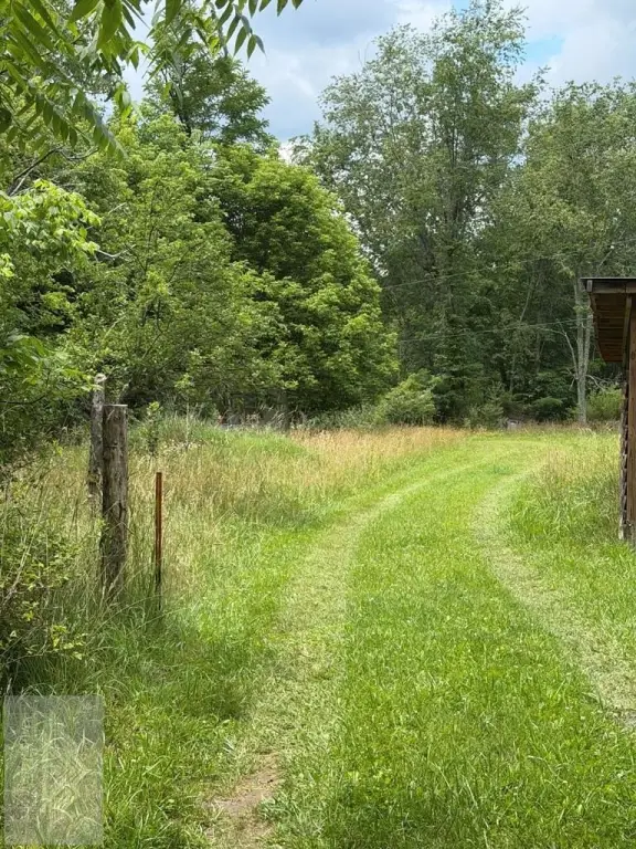 Picture 9