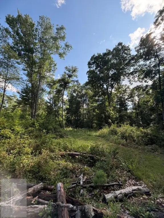Picture 28