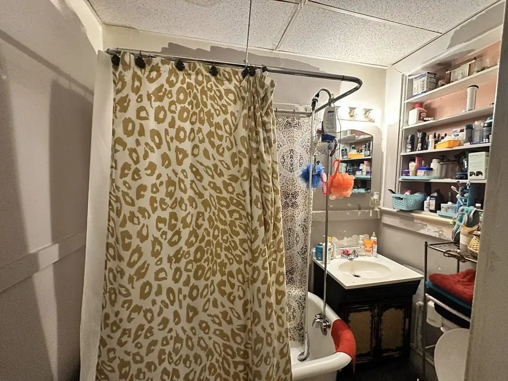 Picture 11