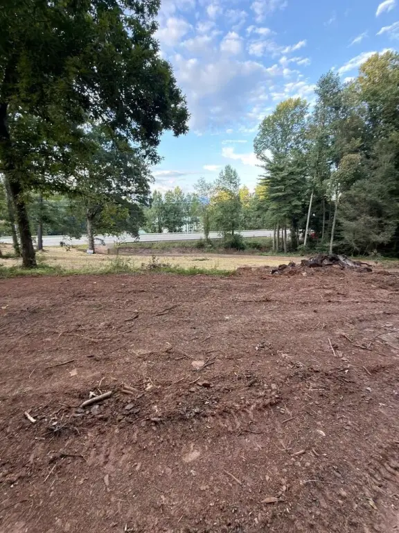 Picture 8