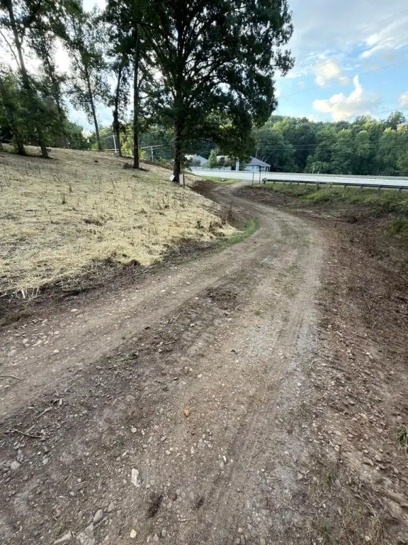 Picture 5