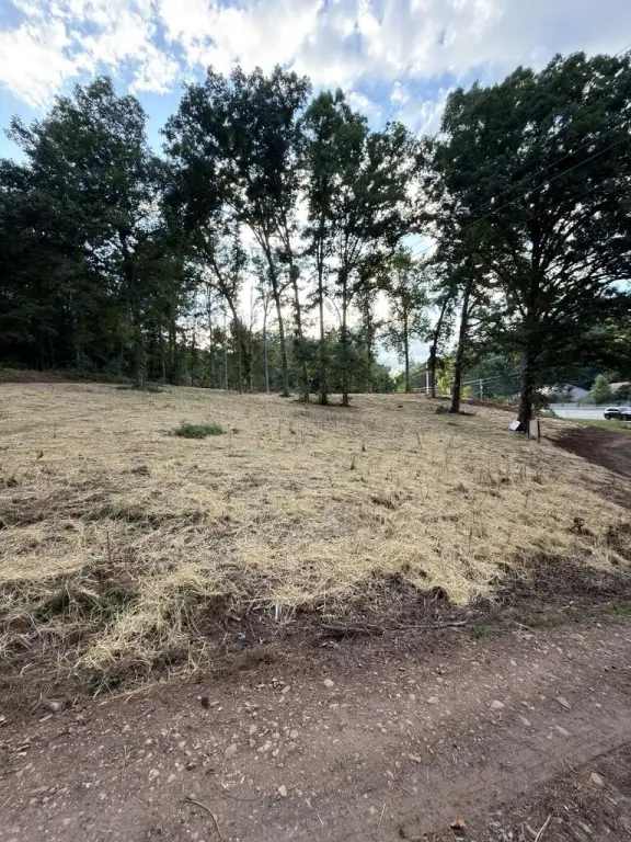 Picture 4