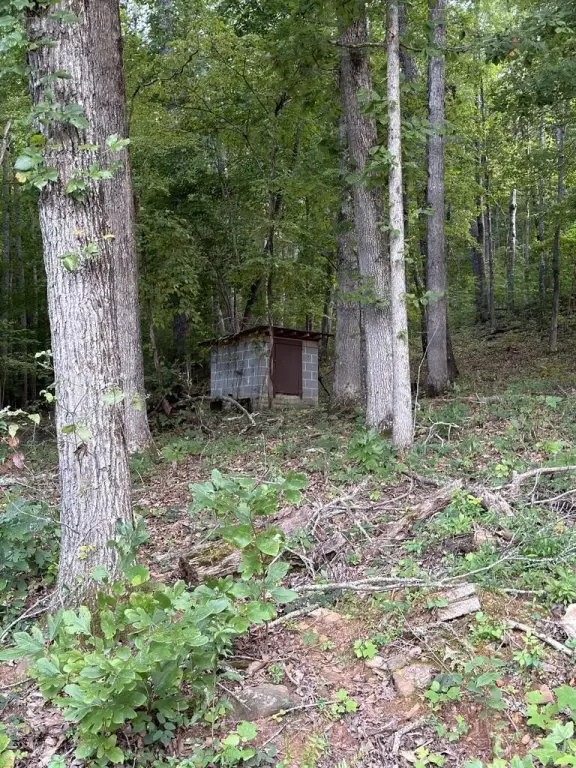 Picture 12