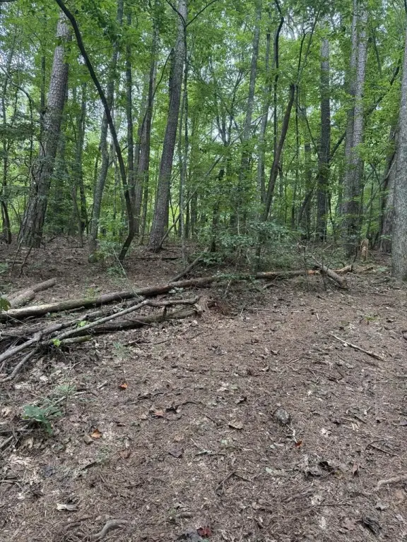 Picture 18