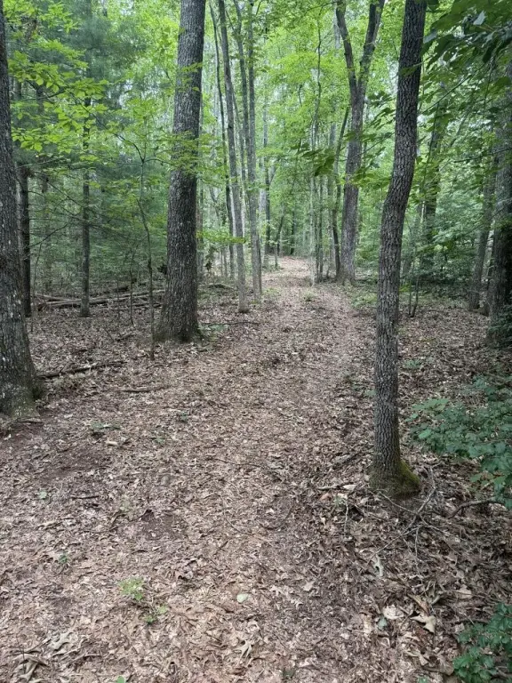 Picture 21