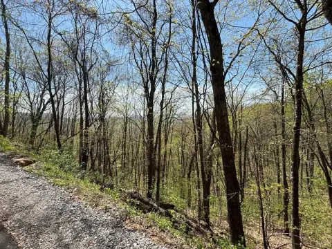 Mountain Land in Gated Community