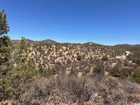 20 Acres in Silver City