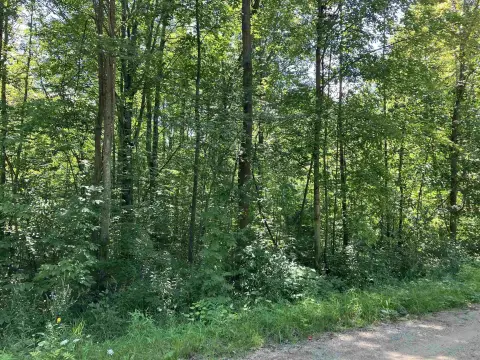 2.39 Acre Wooded Land