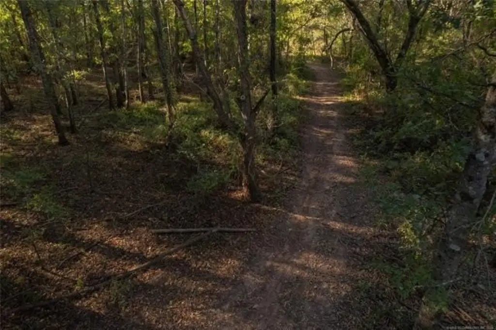 Picture 10