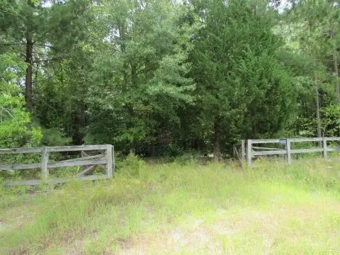 Moultrie Acreage with Planted Pines