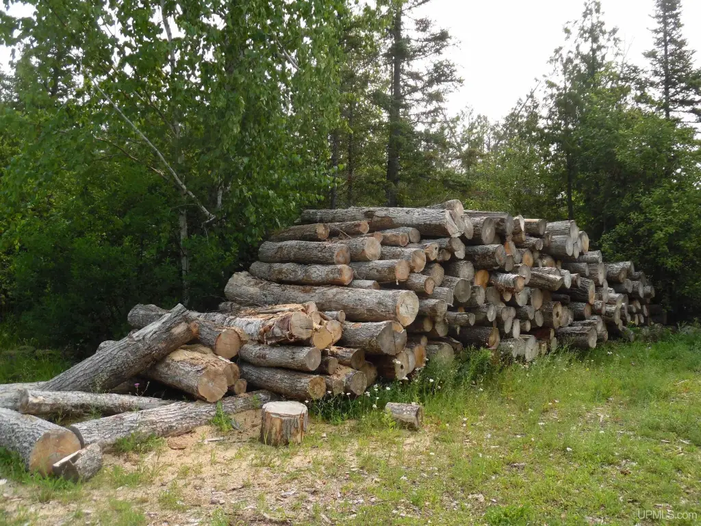 Picture 21