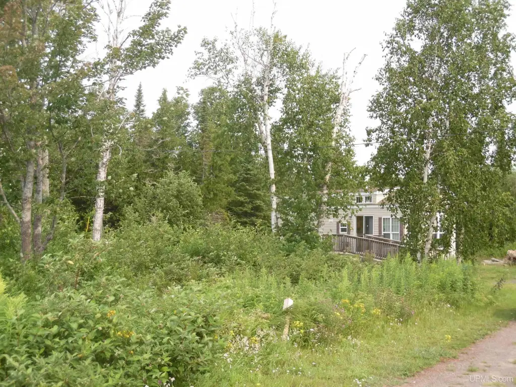 Picture 30