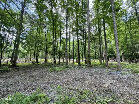 Land in Smoky Mountains