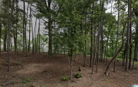 7.8 Acres in Bessemer, AL