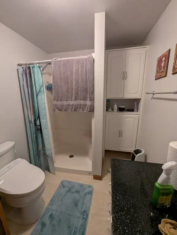 Picture 12
