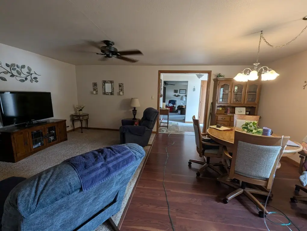 Picture 5