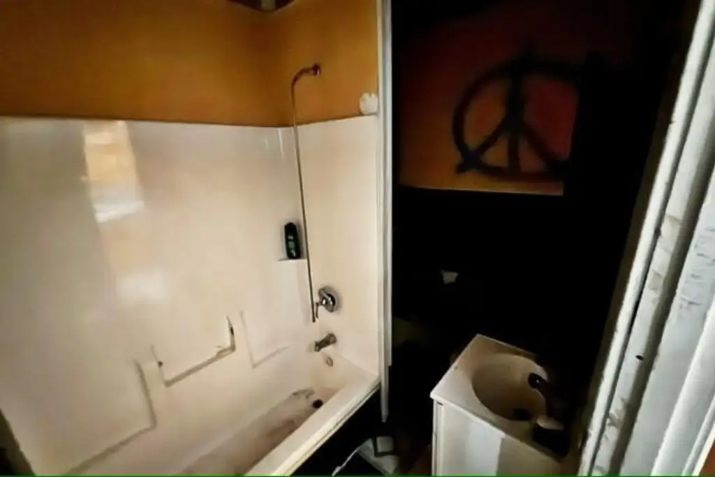 Picture 18