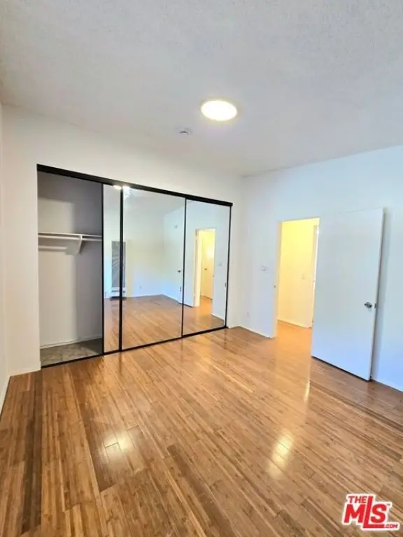 Picture 23