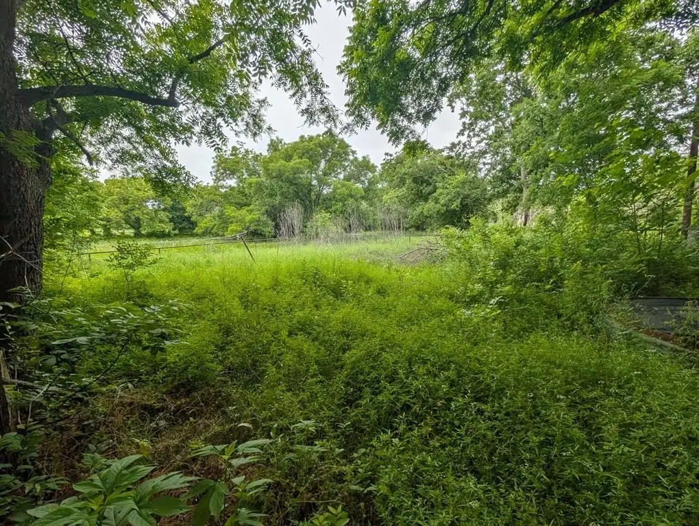 Picture 8