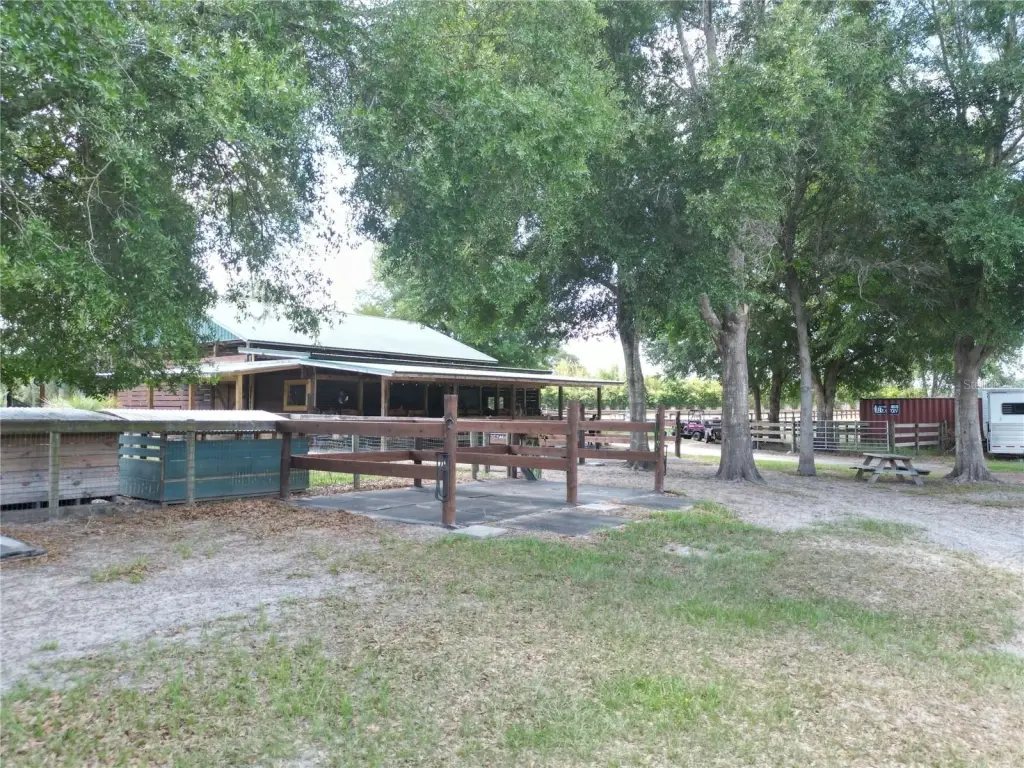 Picture 32