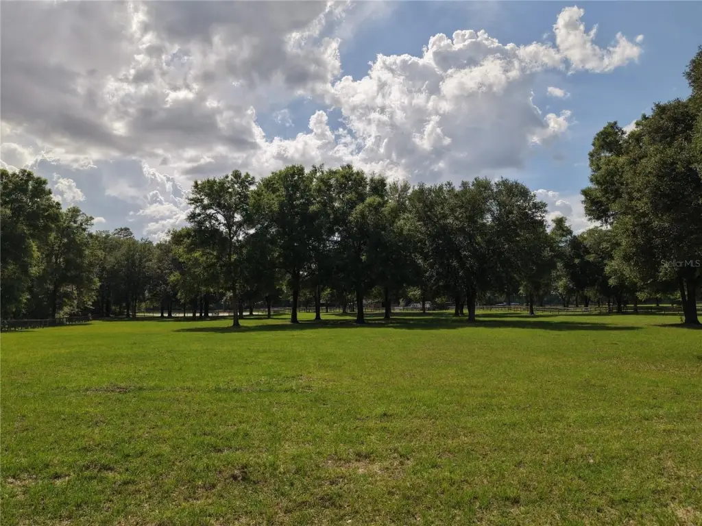 Picture 41