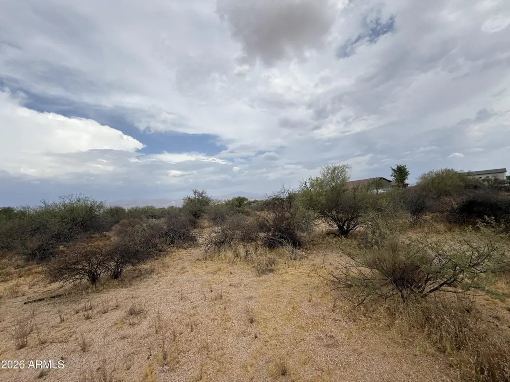 Picture 16
