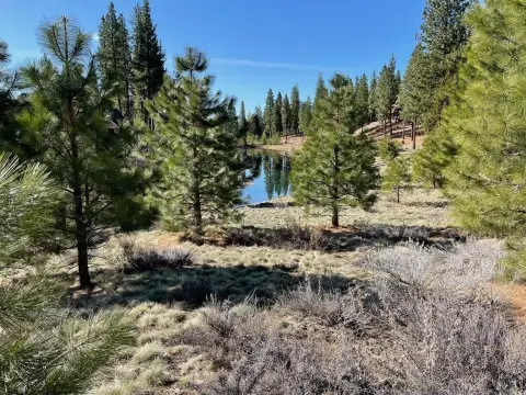 Grizzly Ranch Homesite in Portola