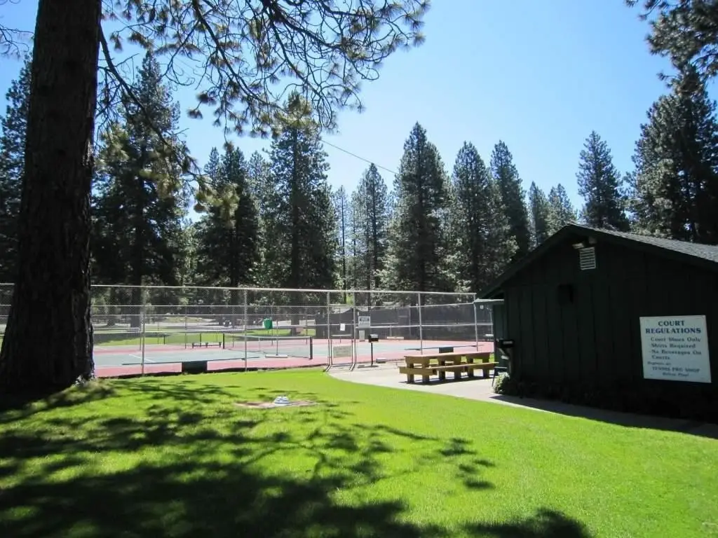 Picture 10