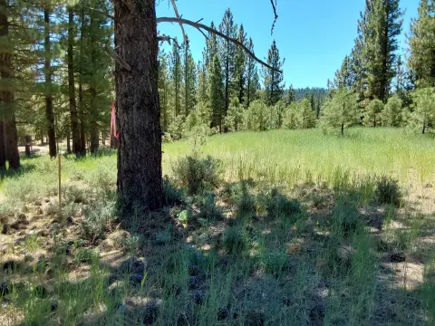 Golf Course Lot on 7th Hole