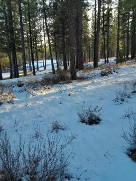 Golf Course Frontage Land