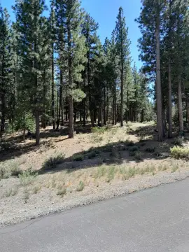 Nakoma Homesite in Lost Sierra